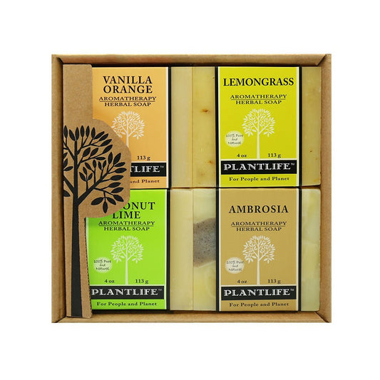 Soap Combo 4 Pack - Fruit - Tree Spirit Wellness