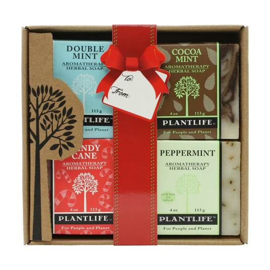 Soap Combo 4 Pack – Holiday Mint - Tree Spirit Wellness