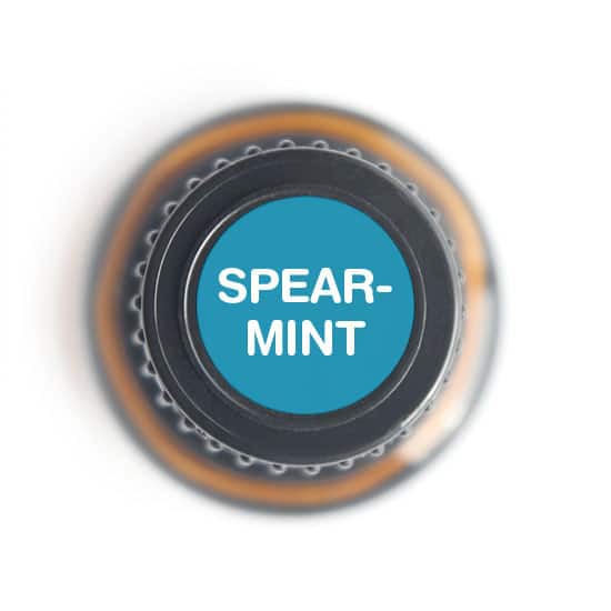 Spearmint Essential oil - Tree Spirit Wellness