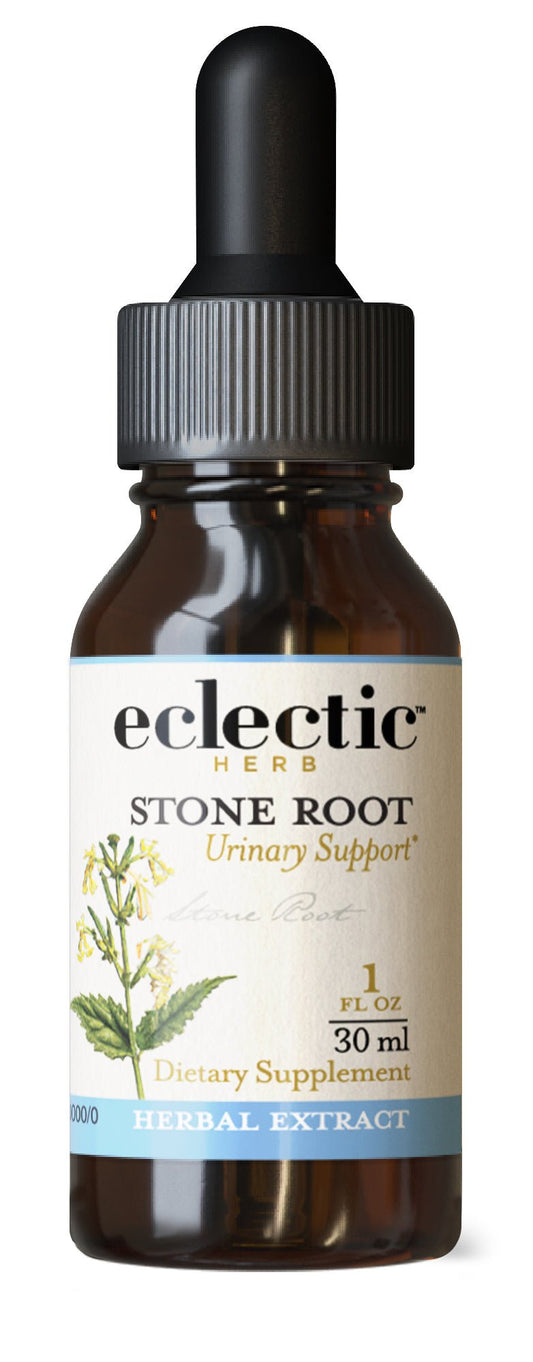 STONE ROOT EXTRACT - Tree Spirit Wellness