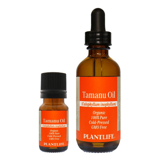 Tamanu Oil - Tree Spirit Wellness