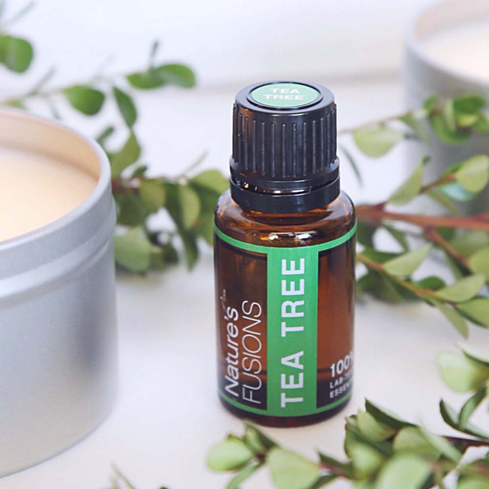 Tea Tree Essential oil - Tree Spirit Wellness