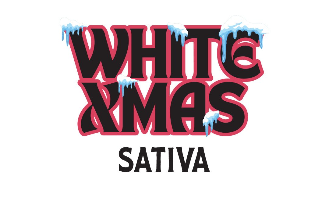 THCA Snow Caps Jar White Xmas 3.5gr (Sativa) - Tree Spirit Wellness