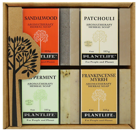 Top Seller Soap Combo 4 Pack - Tree Spirit Wellness