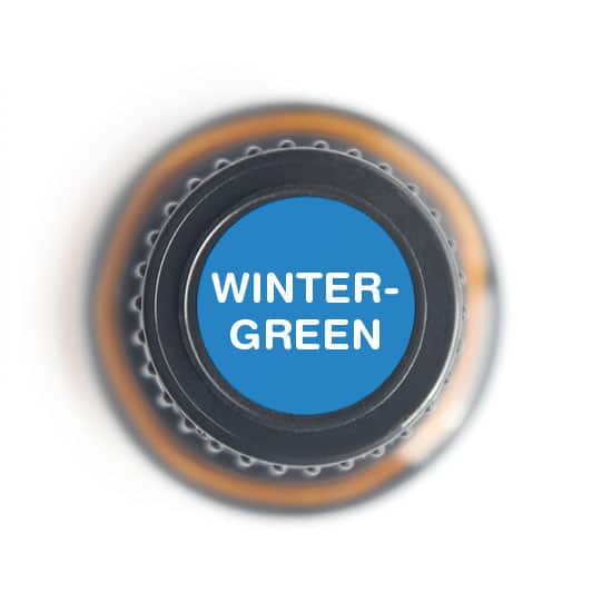 Wintergreen Essential oil - Tree Spirit Wellness