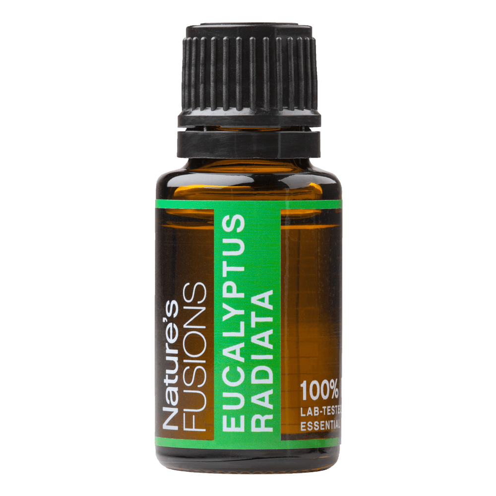 Eucalyptus Radiata Essential oil - 15 ml