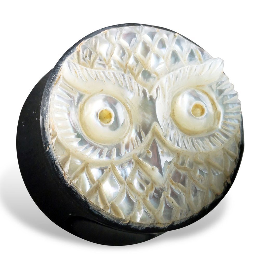 OWL SHELL PLUGS freeshipping - Tree Spirit Wellness